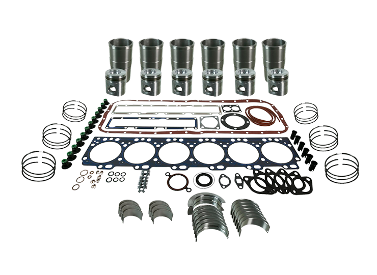 Overhaul kit