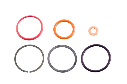 1994-2003 Ford 7.3L Power Stroke F Series, Excursion, Navistar DT466, E Series HEUI Injector Seal Kit-Pack of 8 Kits, F8TZ9229AA, AP0001